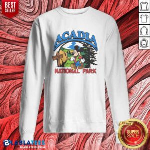 Hot Mickey Mouse Acadia National Park sweatshirt optimized for showcasing vibrant colors and design
