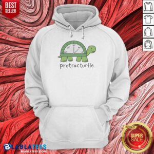 Hot Protracturtle Geek Hoodie