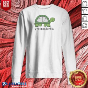Hot Protracturtle Geek Sweatshirt