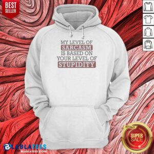 Top My Level Of Sacasm Is Based On Your Level Of Stupidity Hoodie